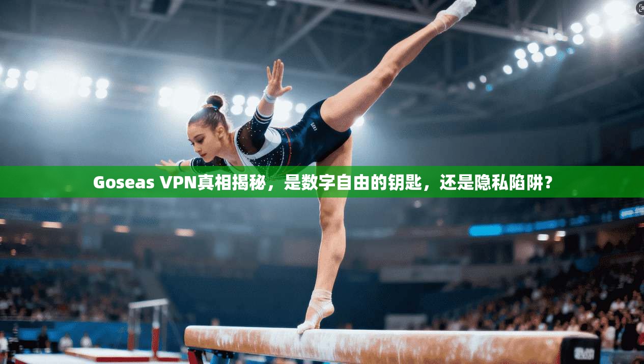 Goseas VPN真相揭秘，是数字自由的钥匙，还是隐私陷阱？