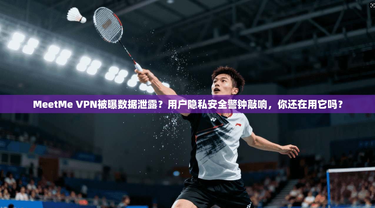 MeetMe VPN被曝数据泄露？用户隐私安全警钟敲响，你还在用它吗？