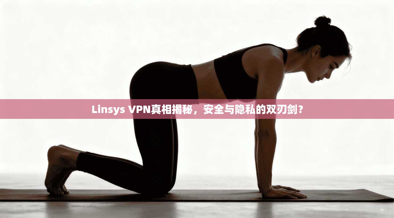 Linsys VPN真相揭秘，安全与隐私的双刃剑？
