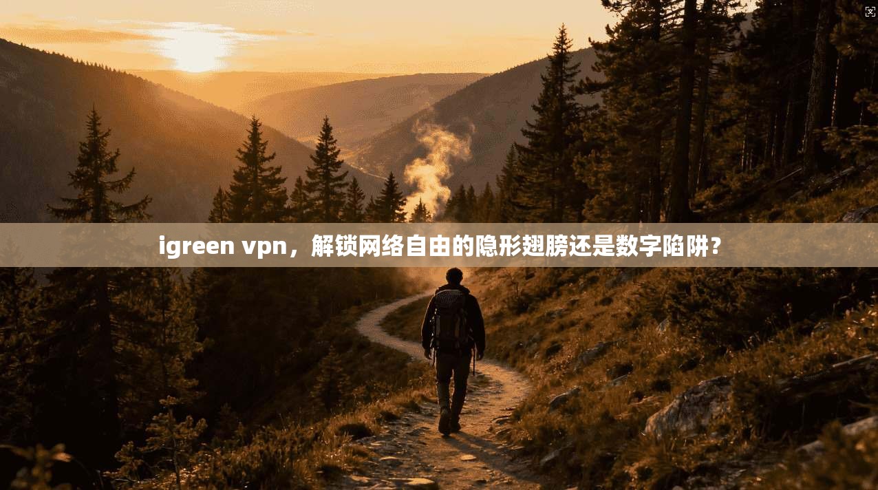 igreen vpn，解锁网络自由的隐形翅膀还是数字陷阱？