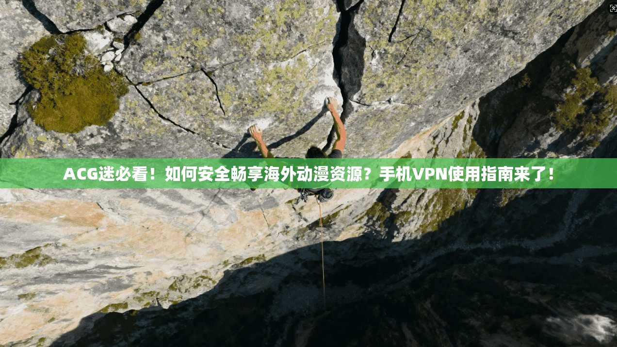 ACG迷必看！如何安全畅享海外动漫资源？手机VPN使用指南来了！