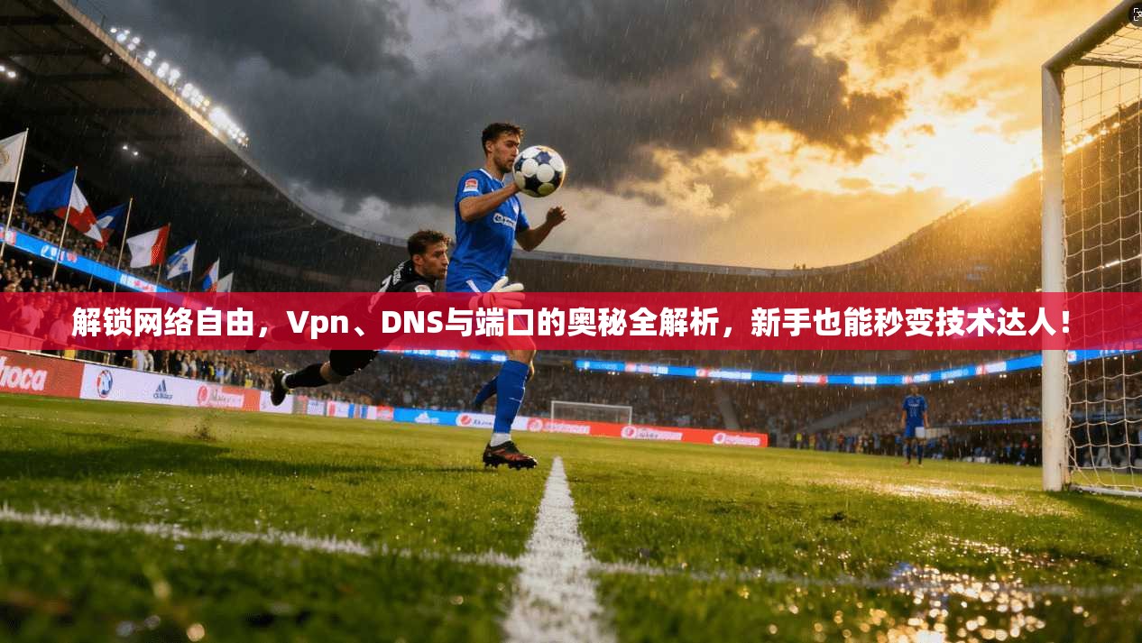 解锁网络自由，Vpn、DNS与端口的奥秘全解析，新手也能秒变技术达人！