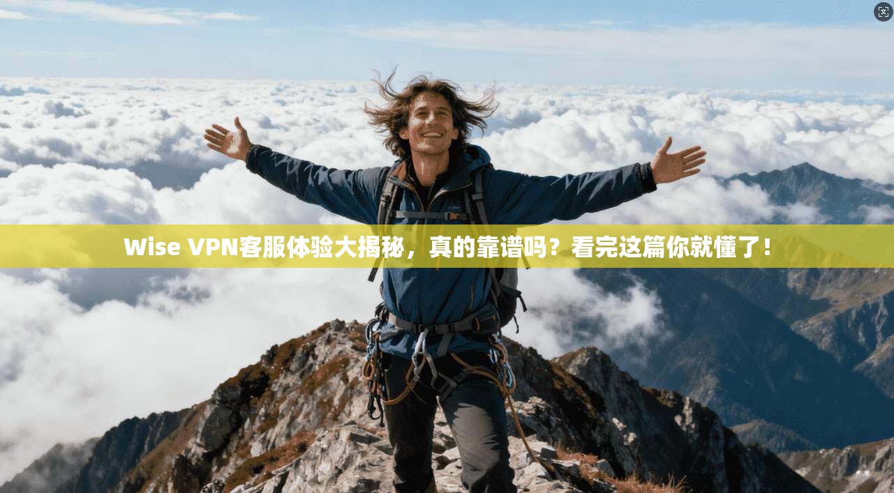 Wise VPN客服体验大揭秘，真的靠谱吗？看完这篇你就懂了！
