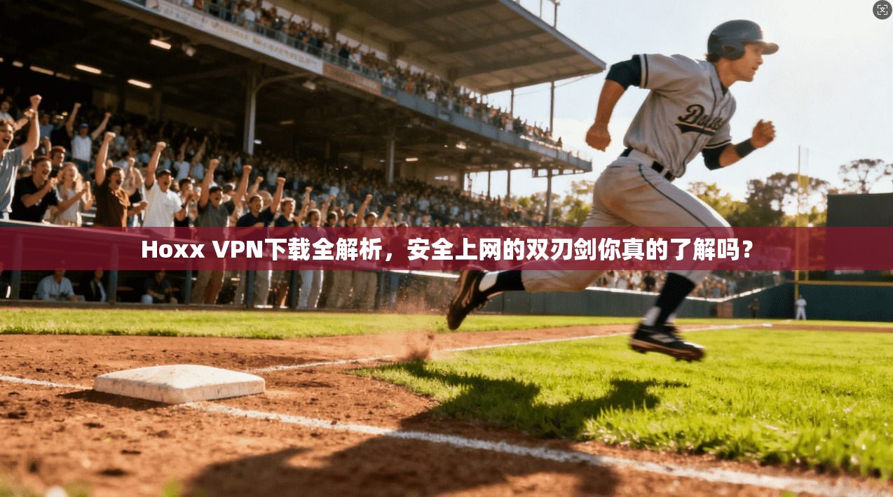 Hoxx VPN下载全解析，安全上网的双刃剑你真的了解吗？