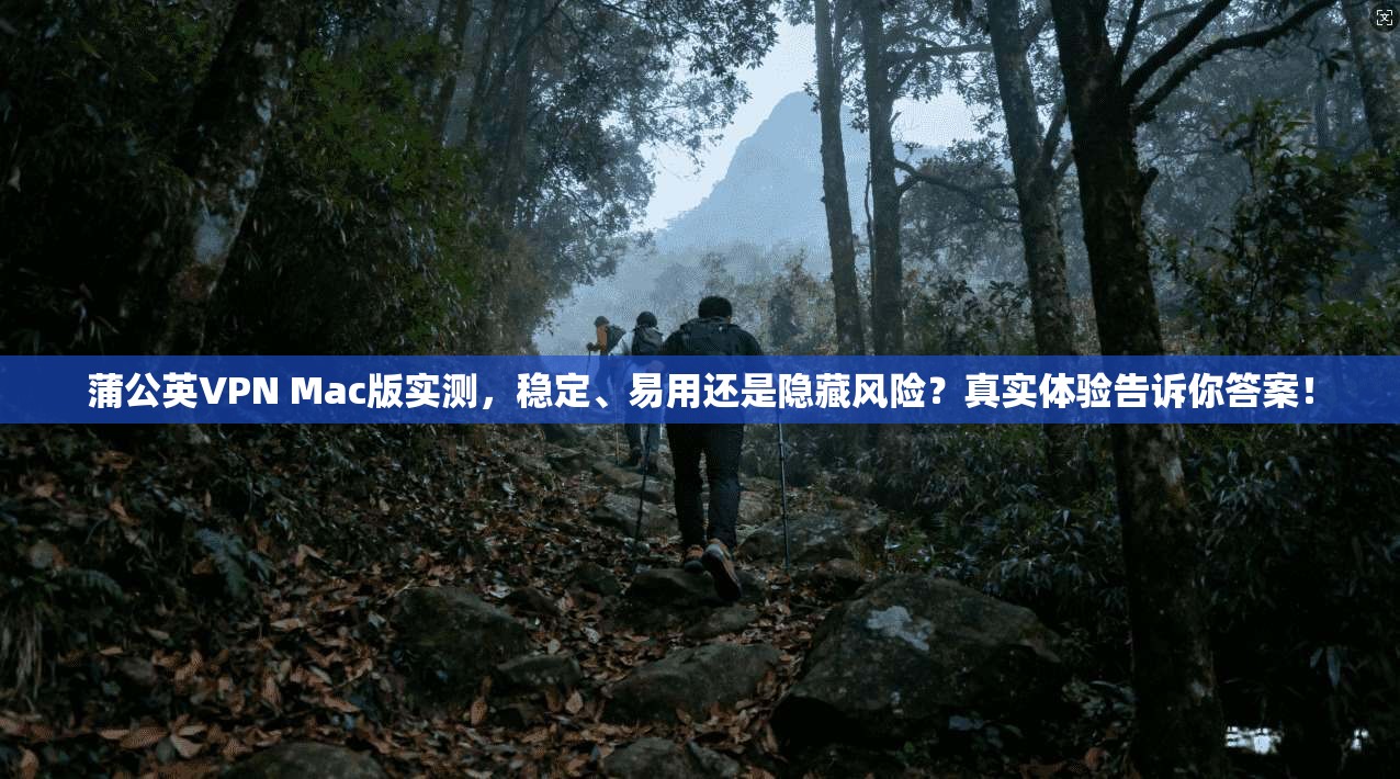 蒲公英VPN Mac版实测,稳定、易用还是隐藏风险?真实体验告诉你答案!