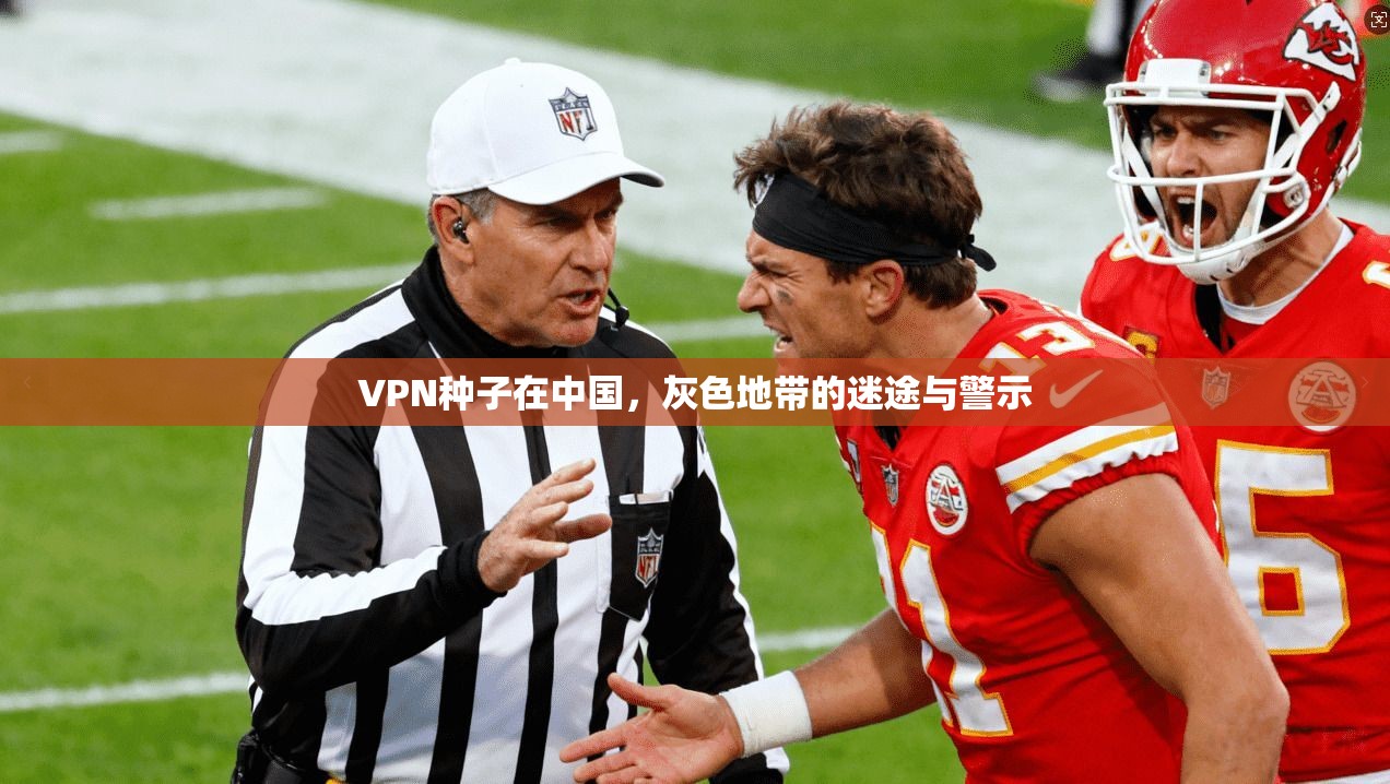 VPN种子在中国，灰色地带的迷途与警示