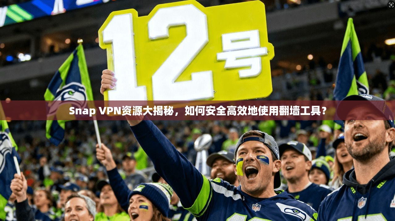 Snap VPN资源大揭秘，如何安全高效地使用翻墙工具？