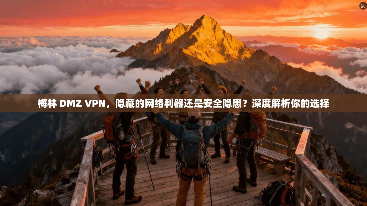 梅林 DMZ VPN，隐藏的网络利器还是安全隐患？深度解析你的选择