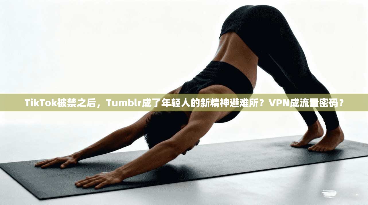 TikTok被禁之后，Tumblr成了年轻人的新精神避难所？VPN成流量密码？