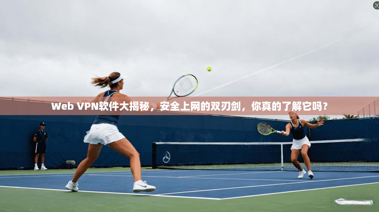 Web VPN软件大揭秘,安全上网的双刃剑,你真的了解它吗? Web VPN软件大揭秘,安全上网的双刃剑,你真的了解它吗?