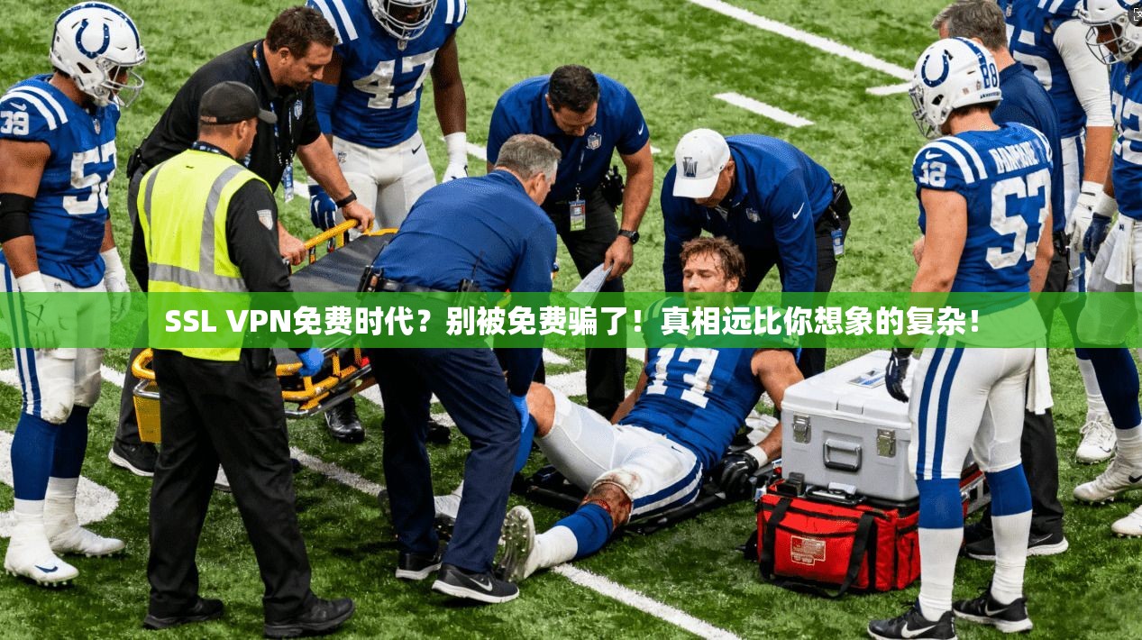 SSL VPN免费时代?别被免费骗了!真相远比你想象的复杂!