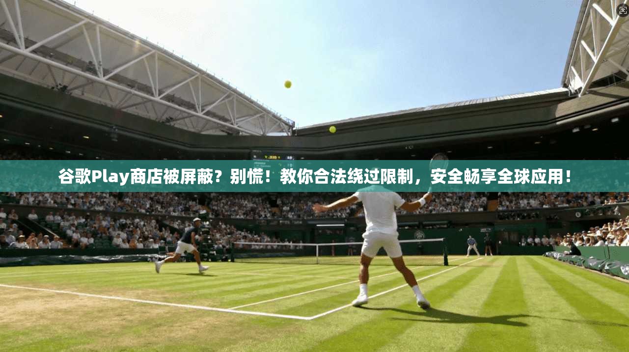 谷歌Play商店被屏蔽?别慌!教你合法绕过限制,安全畅享全球应用!