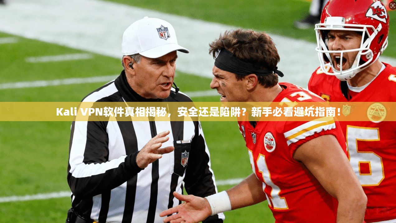 Kali VPN软件真相揭秘，安全还是陷阱？新手必看避坑指南！