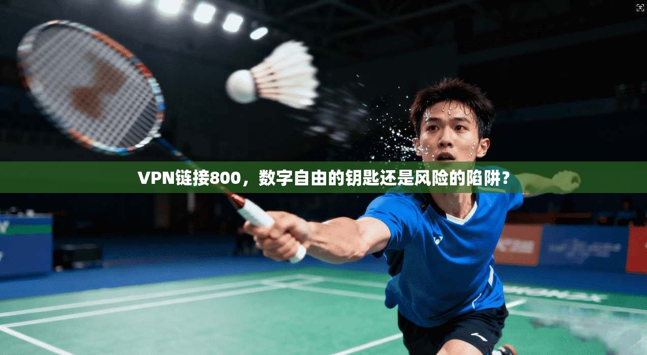 VPN链接800,数字自由的钥匙还是风险的陷阱?