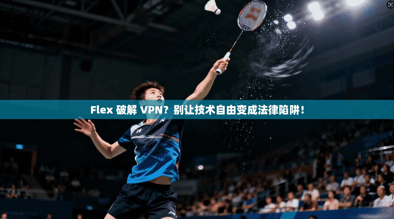Flex 破解 VPN？别让技术自由变成法律陷阱！