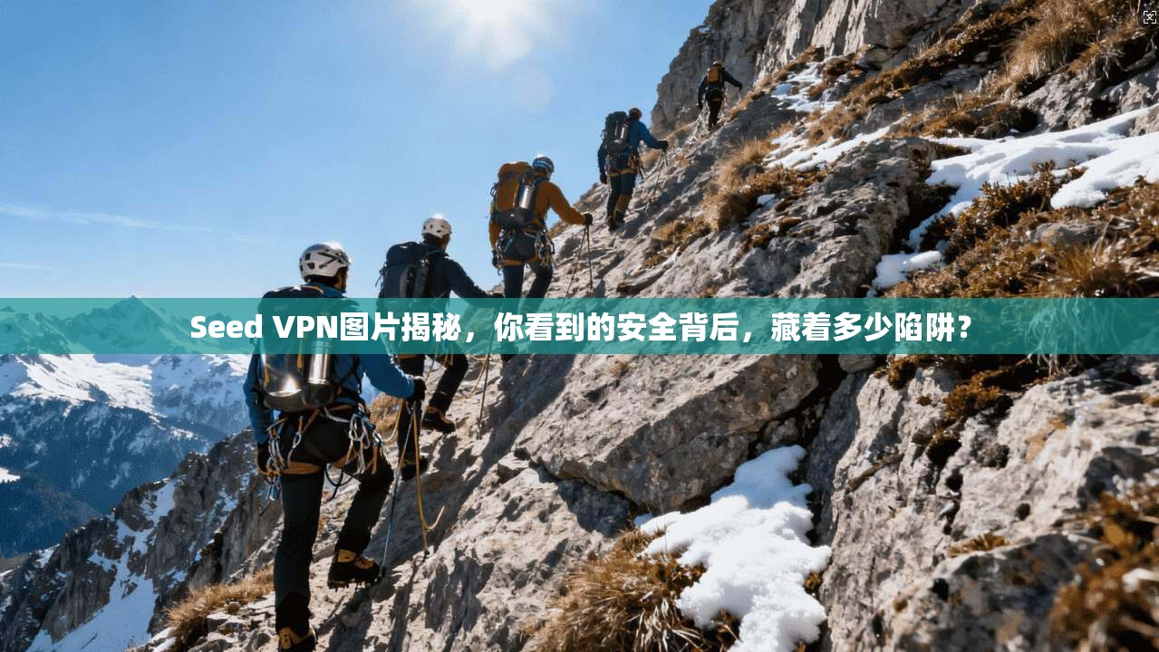 Seed VPN图片揭秘,你看到的安全背后,藏着多少陷阱?