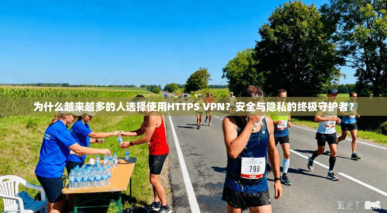 为什么越来越多的人选择使用HTTPS VPN？安全与隐私的终极守护者？