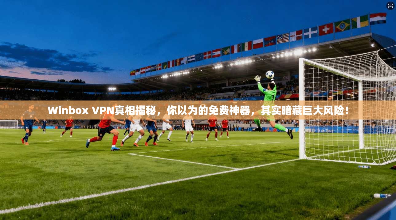 Winbox VPN真相揭秘，你以为的免费神器，其实暗藏巨大风险！