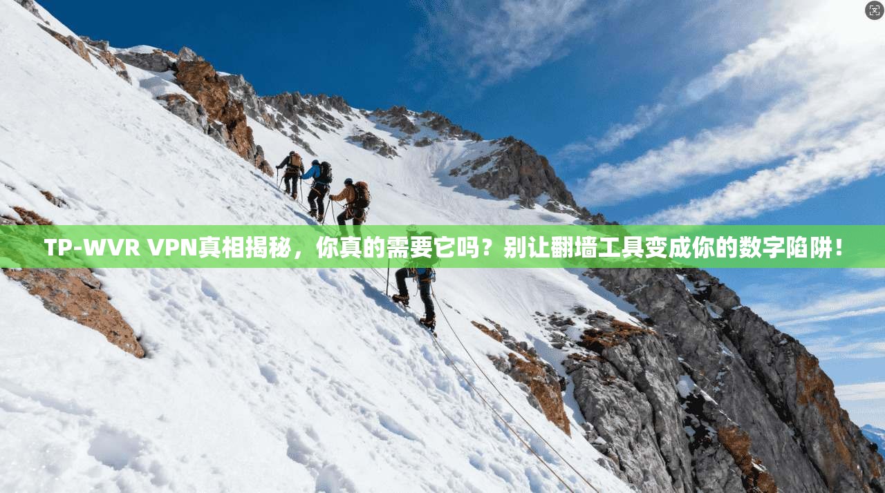 TP-WVR VPN真相揭秘，你真的需要它吗？别让翻墙工具变成你的数字陷阱！