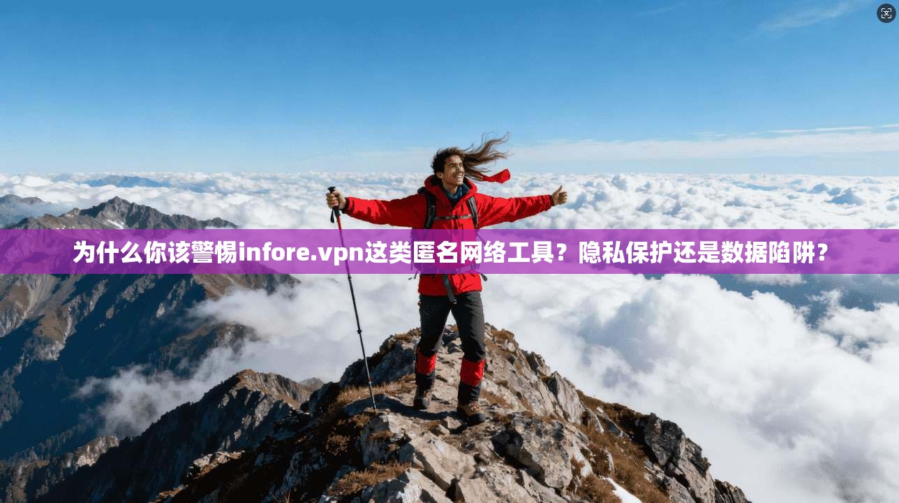 为什么你该警惕infore.vpn这类匿名网络工具？隐私保护还是数据陷阱？