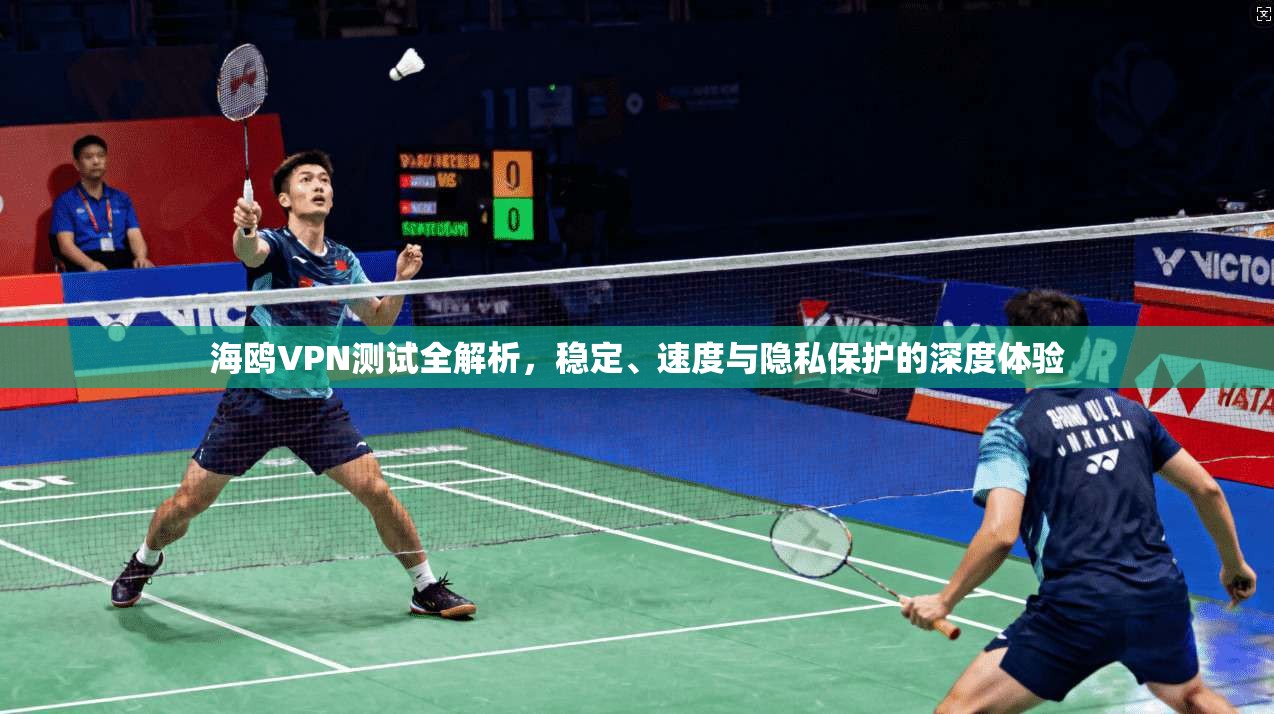 海鸥VPN测试全解析，稳定、速度与隐私保护的深度体验