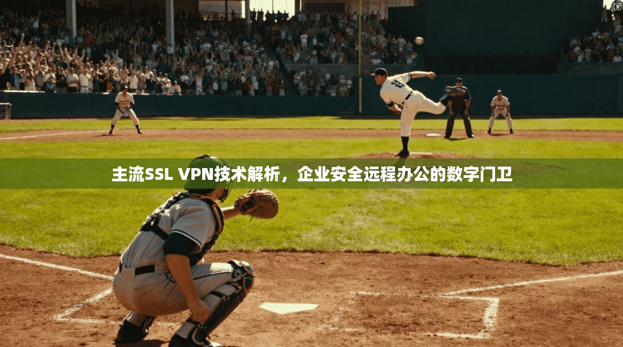 主流SSL VPN技术解析，企业安全远程办公的数字门卫