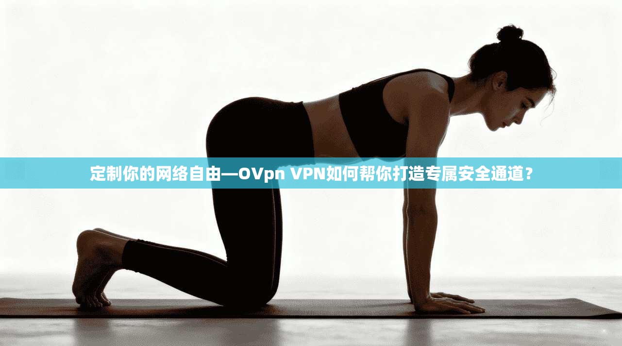 定制你的网络自由—OVpn VPN如何帮你打造专属安全通道？