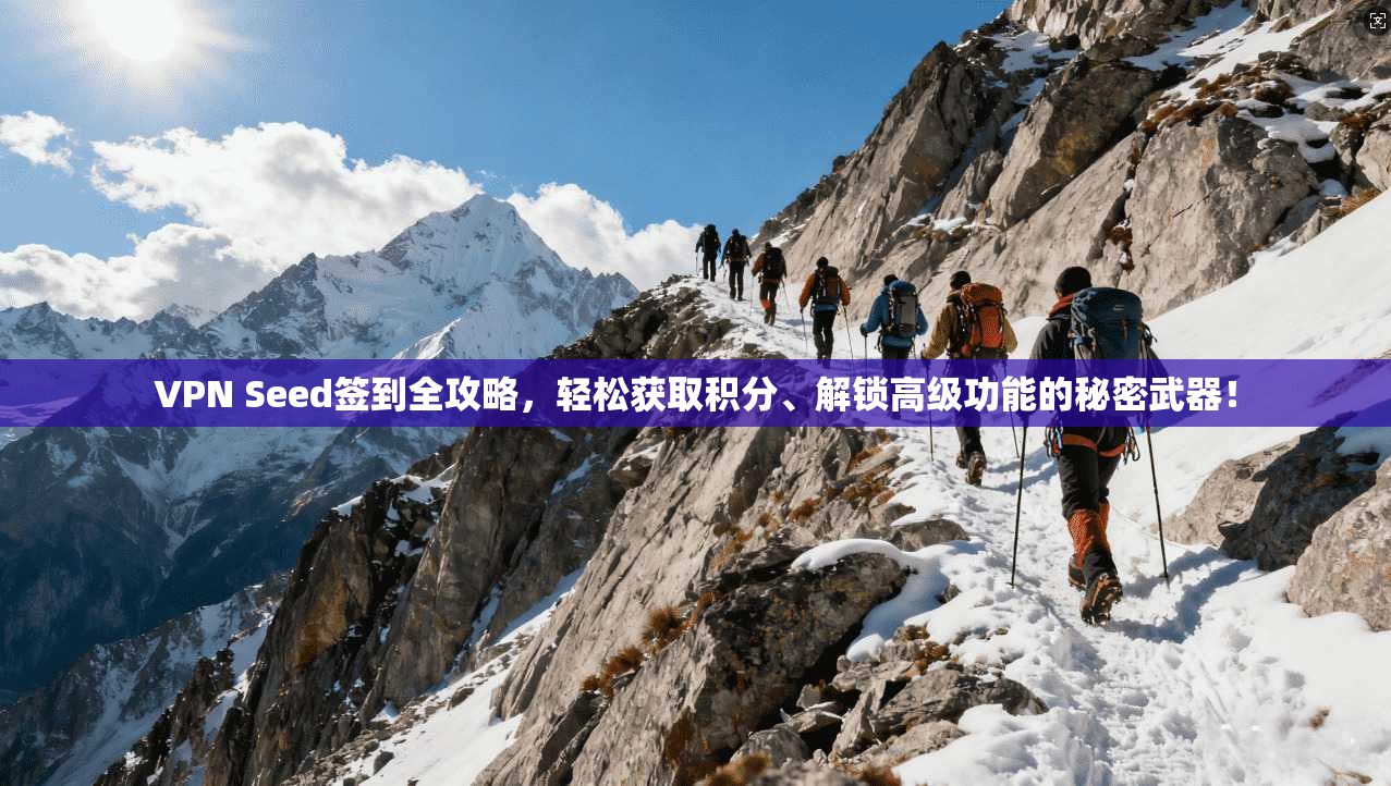 VPN Seed签到全攻略，轻松获取积分、解锁高级功能的秘密武器！