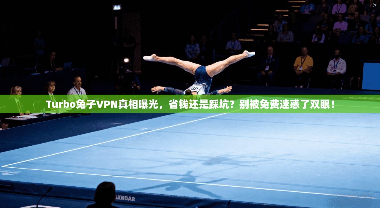 Turbo兔子VPN真相曝光，省钱还是踩坑？别被免费迷惑了双眼！