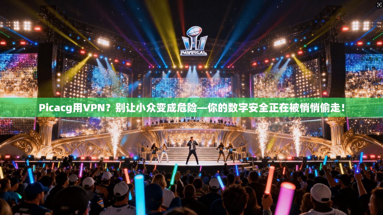 Picacg用VPN？别让小众变成危险—你的数字安全正在被悄悄偷走！