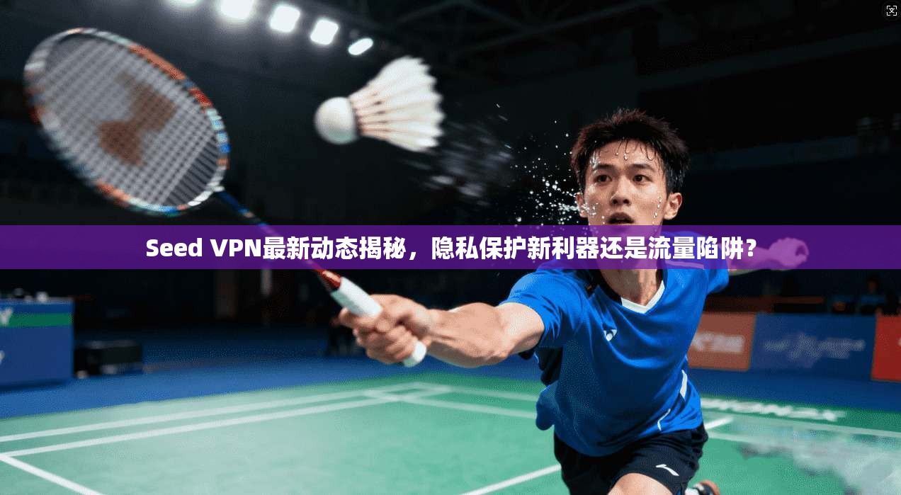 Seed VPN最新动态揭秘，隐私保护新利器还是流量陷阱？