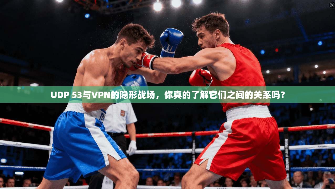 UDP 53与VPN的隐形战场，你真的了解它们之间的关系吗？