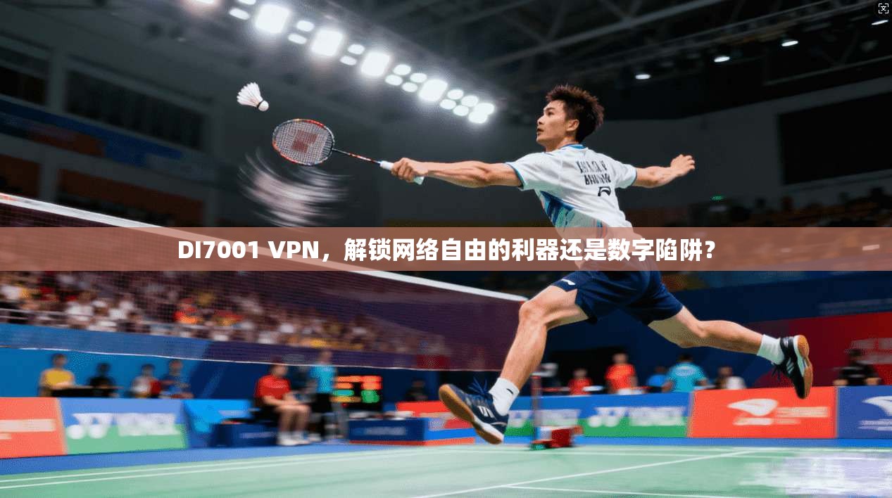 DI7001 VPN，解锁网络自由的利器还是数字陷阱？