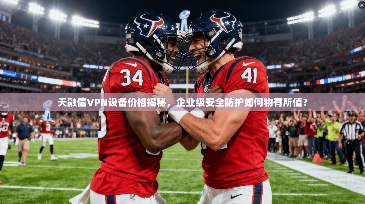 天融信VPN设备价格揭秘,企业级安全防护如何物有所值?