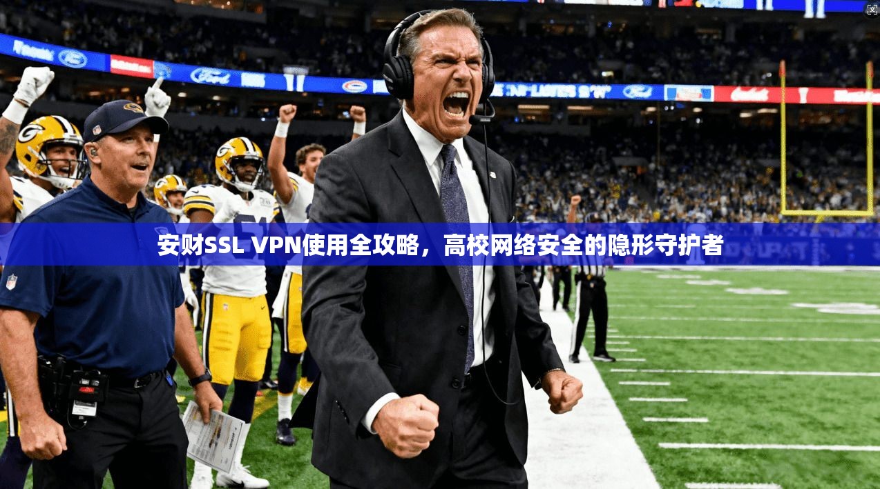 安财SSL VPN使用全攻略,高校网络安全的隐形守护者