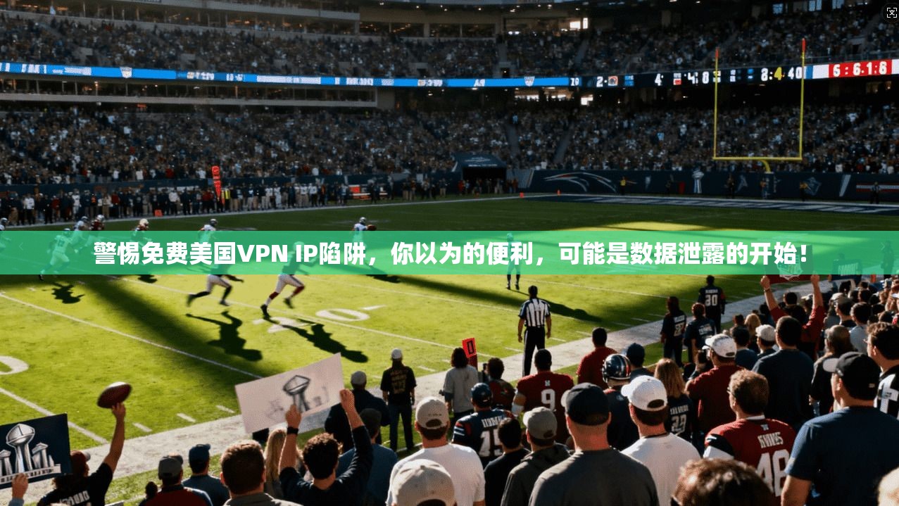 警惕免费美国VPN IP陷阱,你以为的便利,可能是数据泄露的开始!