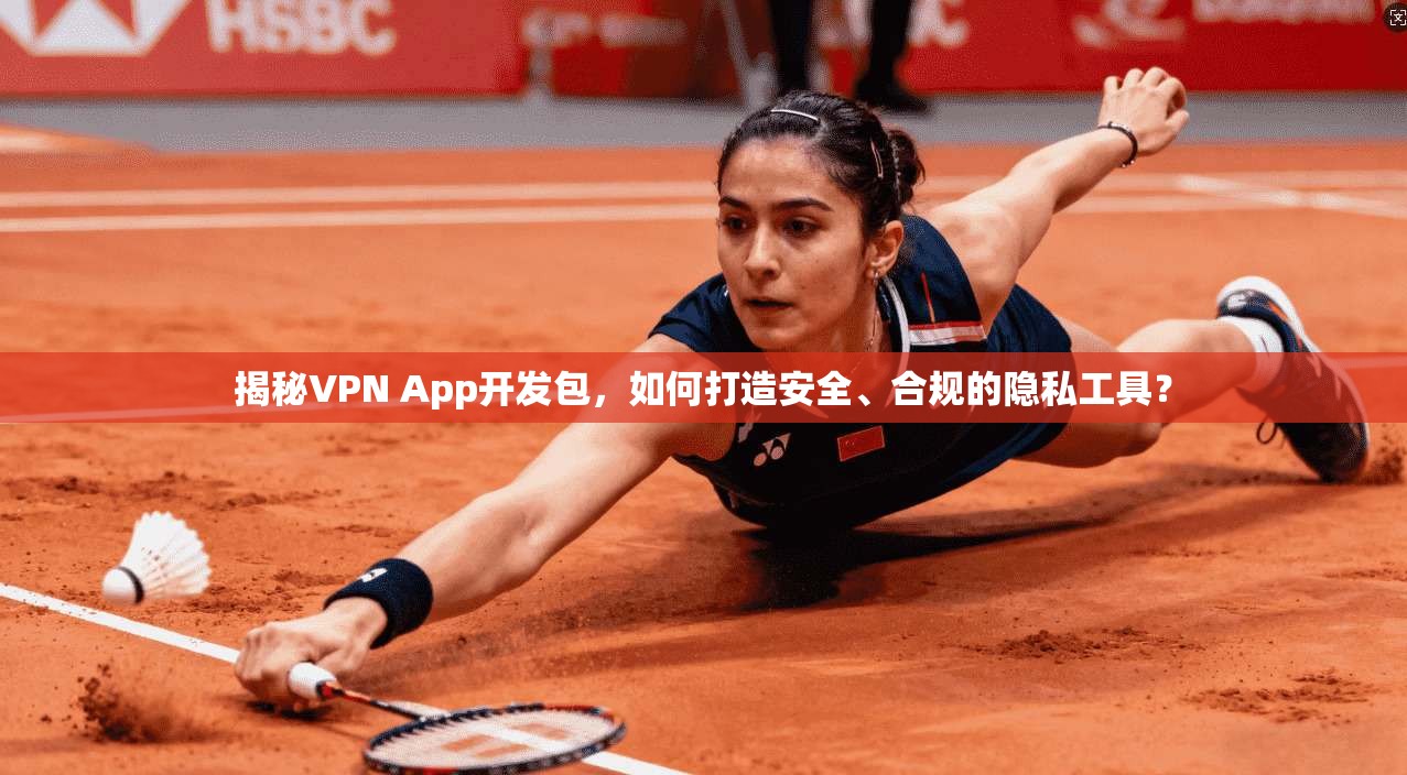揭秘VPN App开发包，如何打造安全、合规的隐私工具？