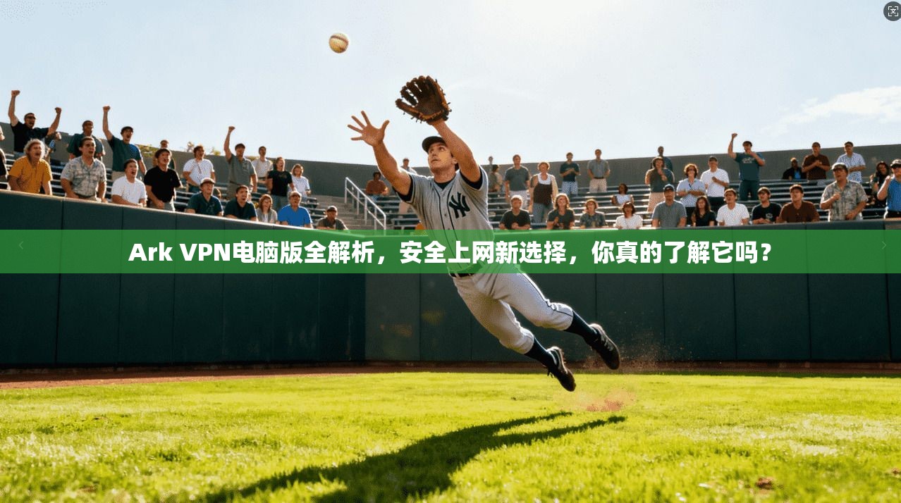 Ark VPN电脑版全解析,安全上网新选择,你真的了解它吗?
