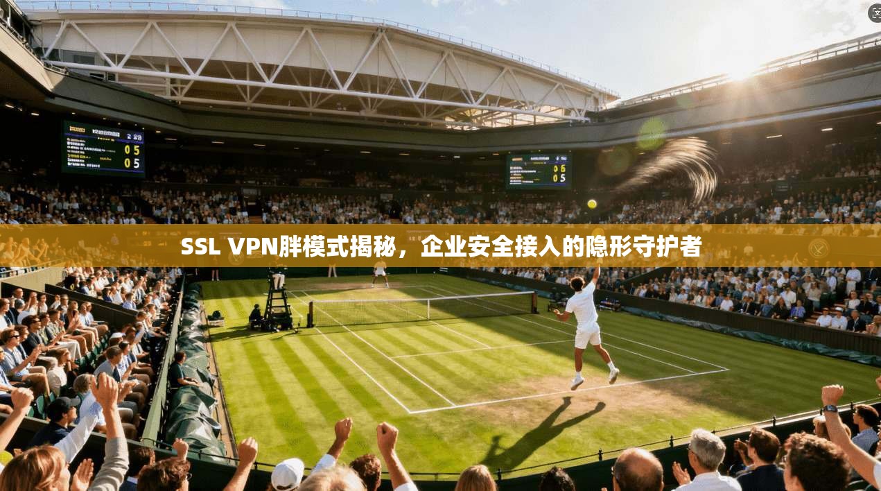 SSL VPN胖模式揭秘,企业安全接入的隐形守护者