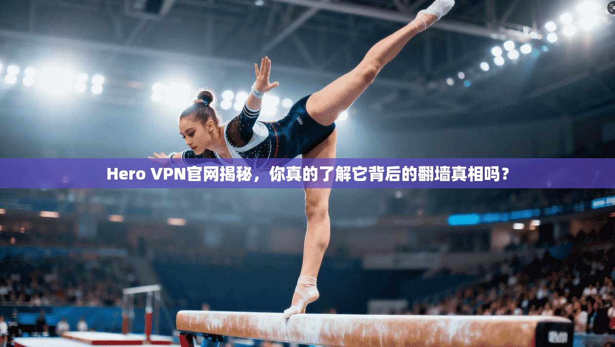 Hero VPN官网揭秘,你真的了解它背后的翻墙真相吗?