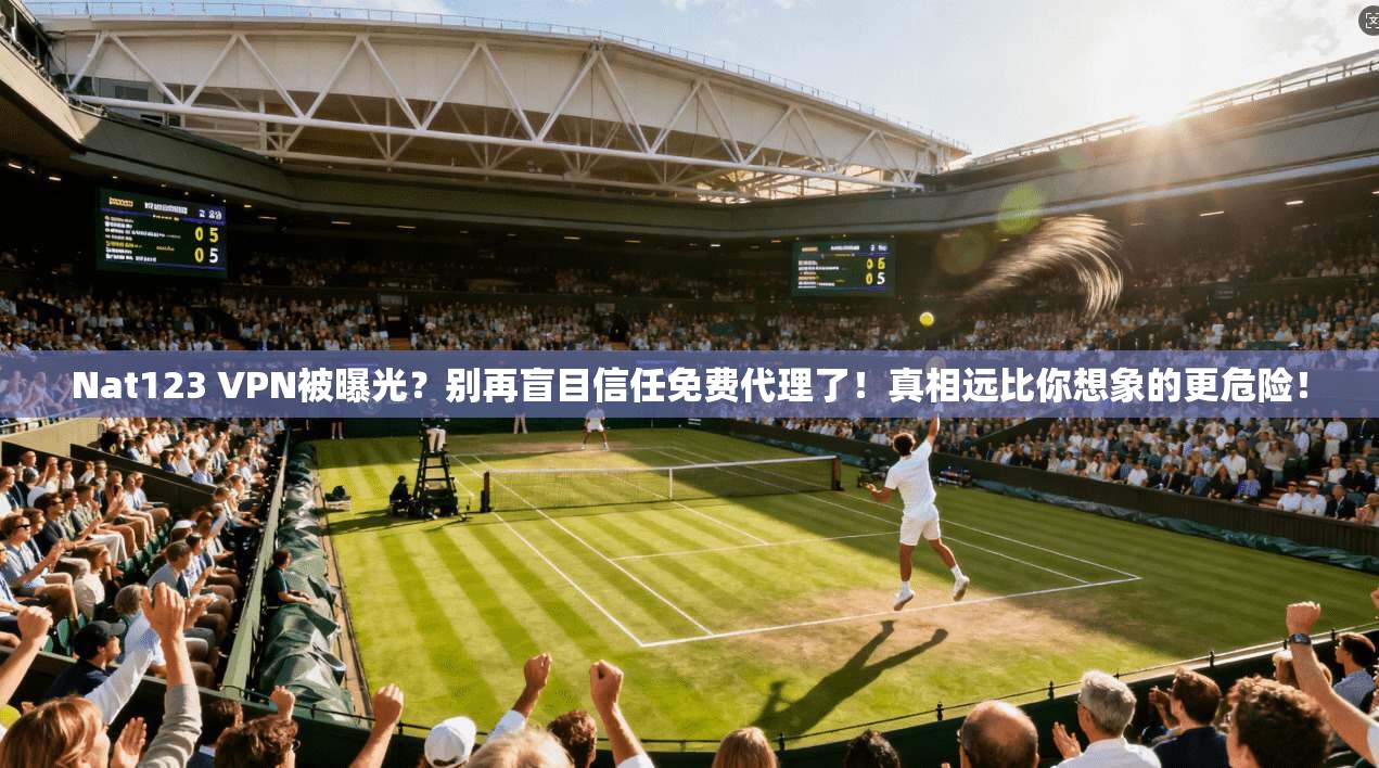 Nat123 VPN被曝光？别再盲目信任免费代理了！真相远比你想象的更危险！
