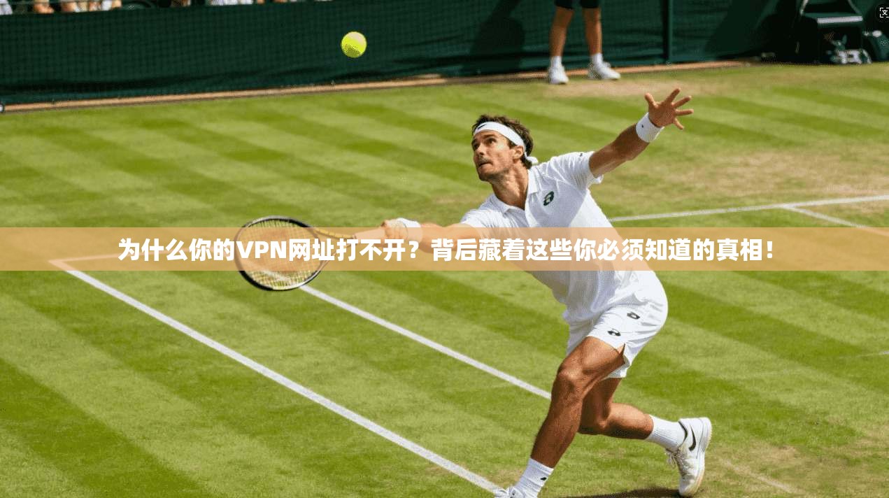 为什么你的VPN网址打不开？背后藏着这些你必须知道的真相！
