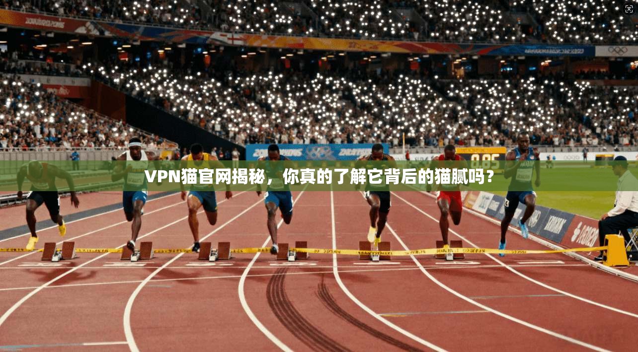 VPN猫官网揭秘，你真的了解它背后的猫腻吗？
