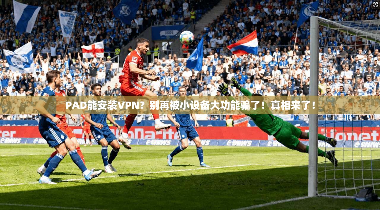 PAD能安装VPN？别再被小设备大功能骗了！真相来了！