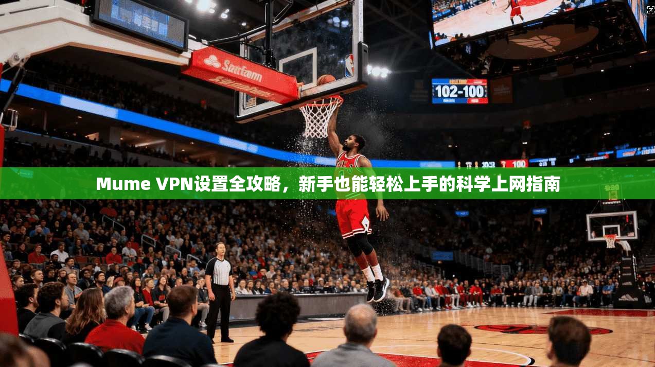 Mume VPN设置全攻略，新手也能轻松上手的科学上网指南