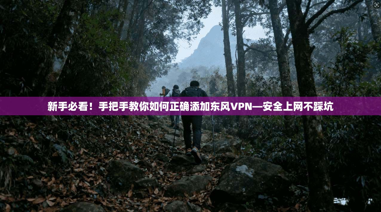 新手必看！手把手教你如何正确添加东风VPN—安全上网不踩坑