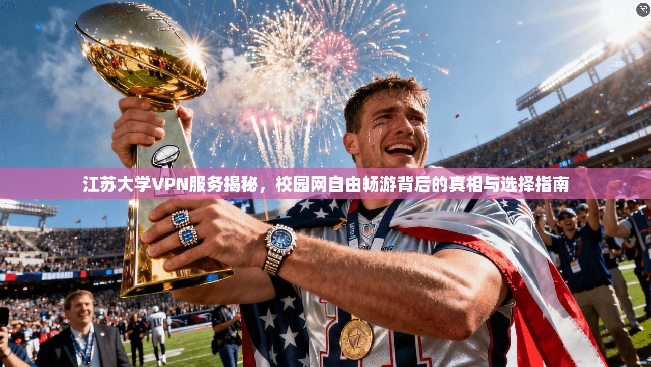 江苏大学VPN服务揭秘,校园网自由畅游背后的真相与选择指南