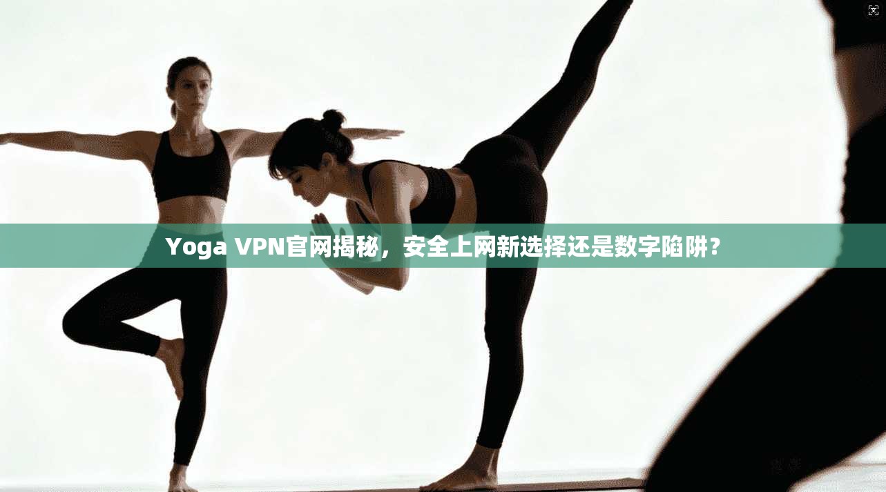 Yoga VPN官网揭秘，安全上网新选择还是数字陷阱？