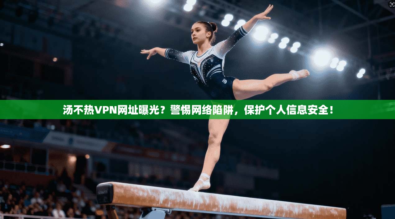汤不热VPN网址曝光?警惕网络陷阱,保护个人信息安全!
