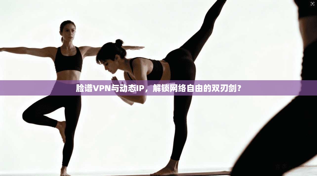 脸谱VPN与动态IP,解锁网络自由的双刃剑?